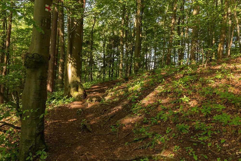 Karstkundlicher Wanderpfad